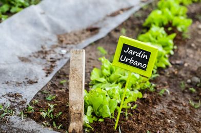 Viveros Cidoncha Jardín Urbano letrero