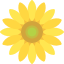 Girasol